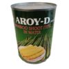 AROY-D |  Bamboo Shoot in Water | 540g