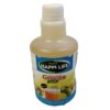 Happi Life | Ginger Drink | 500ml