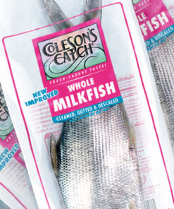 Fish